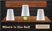 download Find the Ball apk